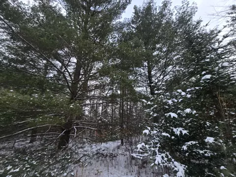 1111 E Vandercook, Mikado, MI 48745 photo 15
