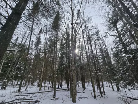 1111 E Vandercook, Mikado, MI 48745 photo 21