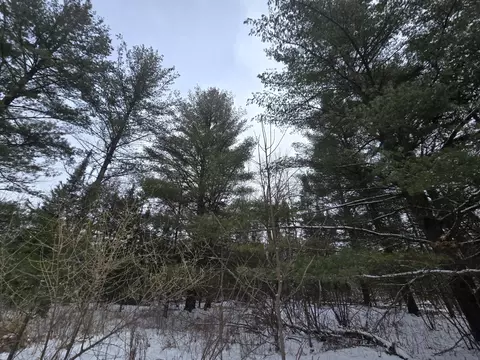 1111 E Vandercook, Mikado, MI 48745 photo 17