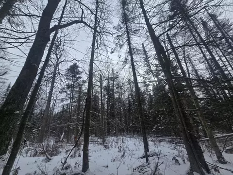 1111 E Vandercook, Mikado, MI 48745 photo 31