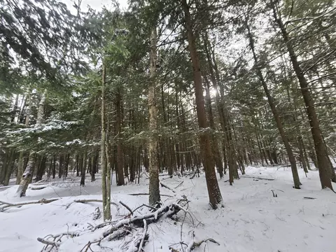 1111 E Vandercook, Mikado, MI 48745 photo 26