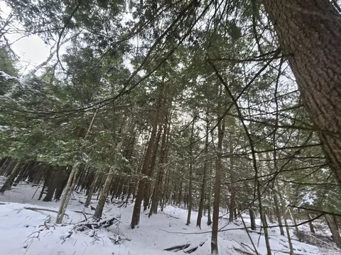 1111 E Vandercook, Mikado, MI 48745 photo 25