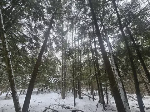 1111 E Vandercook, Mikado, MI 48745 photo 28