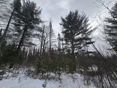 1111 E Vandercook, Mikado, MI 48745 photo 12