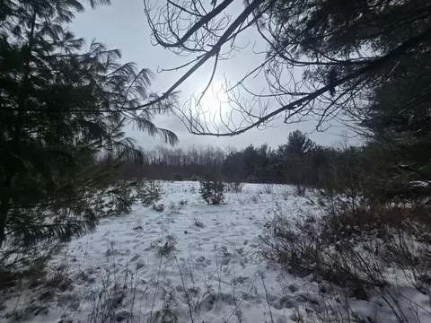 1111 E Vandercook, Mikado, MI 48745 photo 34