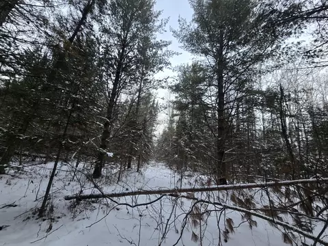 1111 E Vandercook, Mikado, MI 48745 photo 18
