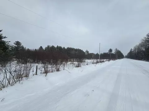 1111 E Vandercook, Mikado, MI 48745 photo 39