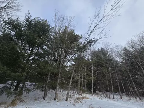1111 E Vandercook, Mikado, MI 48745 photo 9