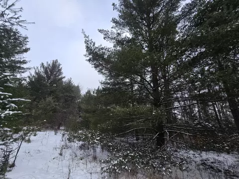 1111 E Vandercook, Mikado, MI 48745 photo 14
