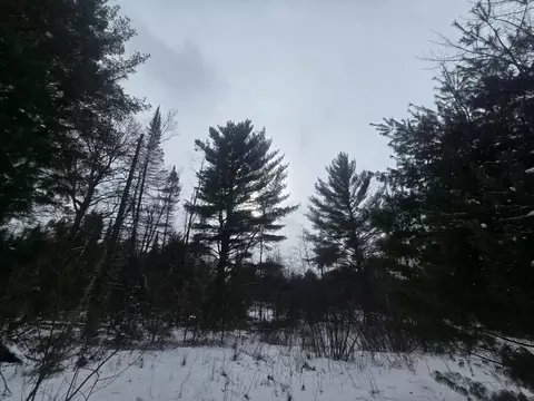 1111 E Vandercook, Mikado, MI 48745 photo 33