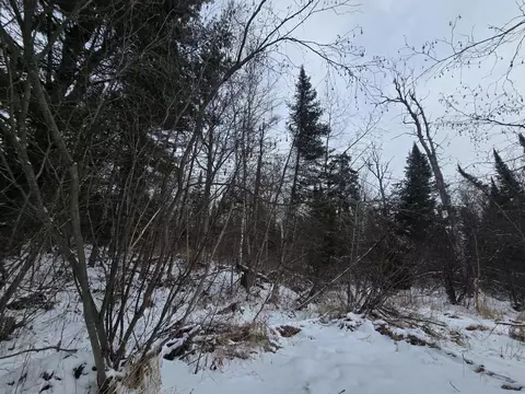 1111 E Vandercook, Mikado, MI 48745 photo 11