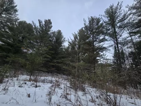 1111 E Vandercook, Mikado, MI 48745 photo 16