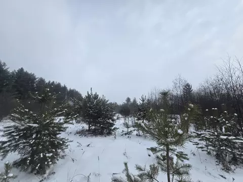 1111 E Vandercook, Mikado, MI 48745 photo 37
