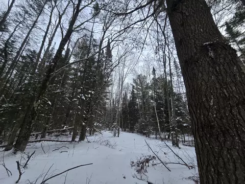 1111 E Vandercook, Mikado, MI 48745 photo 8