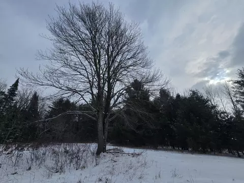 1111 E Vandercook, Mikado, MI 48745 photo 10
