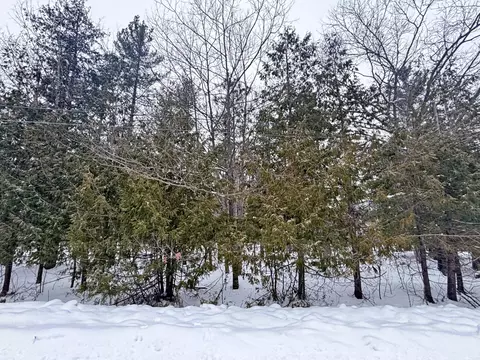 lot201 Lakewood Dr, Presque Isle, MI 49777
