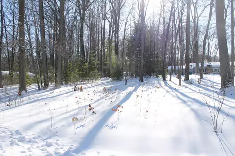 206 Middle Dr, Prudenville, MI 48651