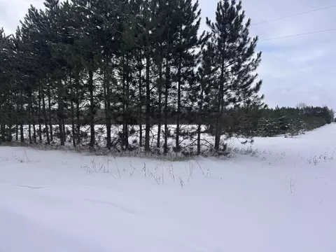 20 Robinson Lake Rd # A, Roscommon, MI 48653