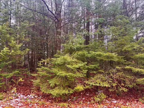 lot62 63 Belfair Dr, Presque Isle, MI 49777