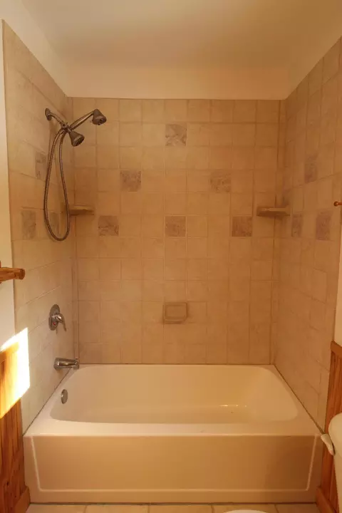 Bath - 4521 Skyline Rd, Grayling, MI 49738 photo 4 of 6
