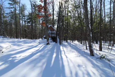 Exterior - 4521 Skyline Rd, Grayling, MI 49738 photo 8 of 9