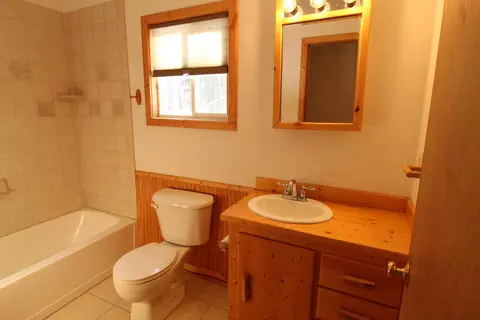 Bath - 4521 Skyline Rd, Grayling, MI 49738 photo 2 of 6