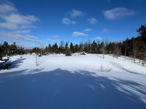 V/L 2.80 A Morgan Road #2.80 ACRES, Gaylord, MI 49735