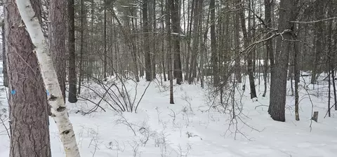 1 East Higgins Lake Drive, Roscommon, MI 48653