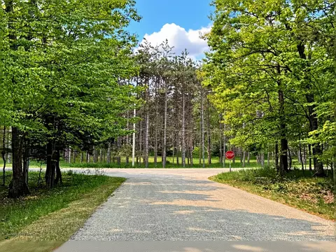 5945 Lodgepole Rd, Harbor Springs, MI 49740