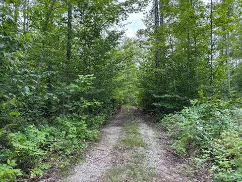 V/L Par B Misiak Highway #PARCEL B 41.27+/- ACRES, Presque Isle, MI 49777