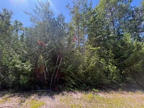L 166-169 Northland Heights Drive #S 166-169, Presque Isle, MI 49777