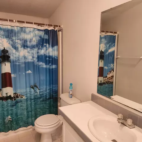 Bath - 9852 Greenway Dr, Frederic, MI 49733 photo 2 of 2