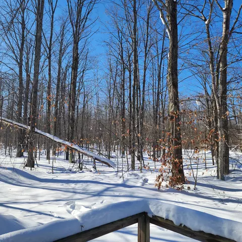 Other - 9852 Greenway Dr, Frederic, MI 49733 photo 2 of 6