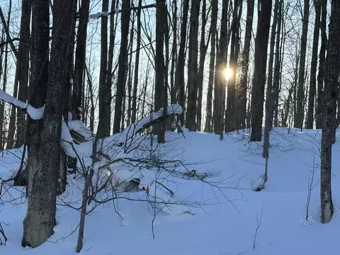 10 08 Ac Tower Rd, Vanderbilt, MI 49795