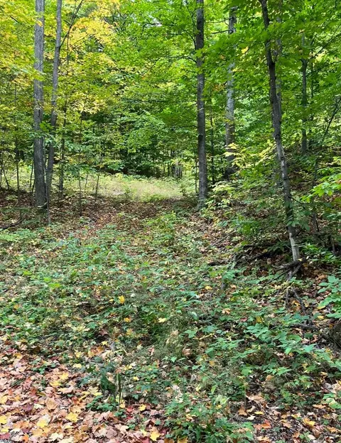 10 08 Ac Tower Rd, Vanderbilt, MI 49795 photo 4