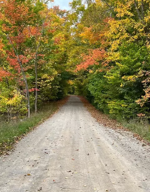 10 08 Ac Tower Rd, Vanderbilt, MI 49795 photo 3