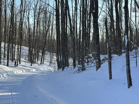 10 08 Ac Tower Rd, Vanderbilt, MI 49795 photo 6