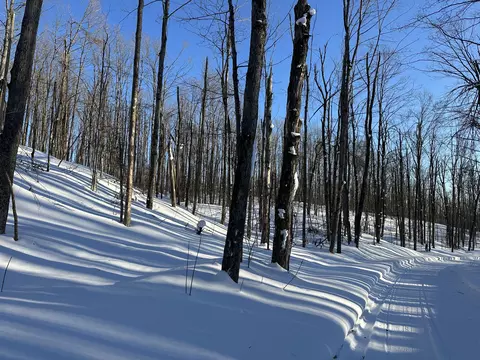 10 08 Ac Tower Rd, Vanderbilt, MI 49795 photo 8