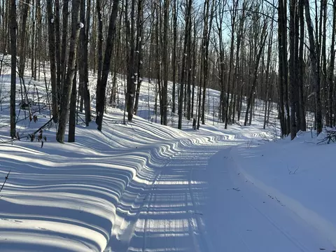 10 08 Ac Tower Rd, Vanderbilt, MI 49795 photo 7