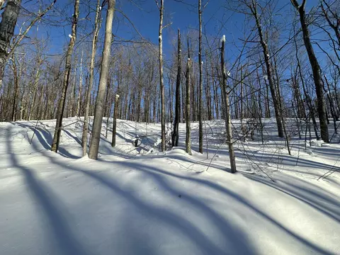 10 08 Ac Tower Rd, Vanderbilt, MI 49795 photo 9
