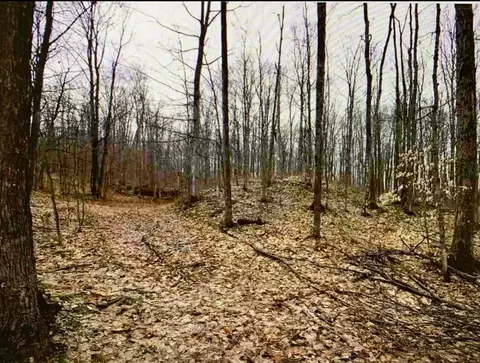 10 08 Ac Tower Rd, Vanderbilt, MI 49795 photo 5