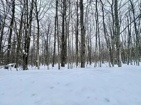lot472 Maplewood Cir, Elmira, MI 49730