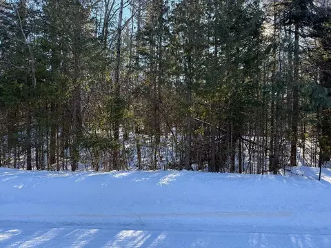 8320 Cordwood Trl, Cheboygan, MI 49721