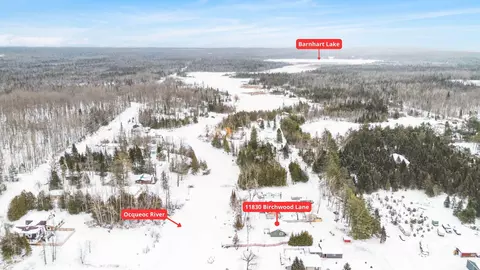 11830 Birchwood Ln, Millersburg, MI 49759