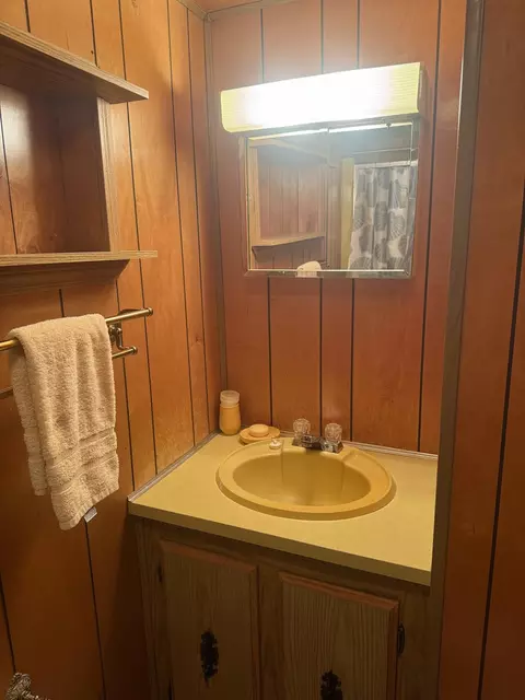 Bath - 263 Bunny Dr, Mio, MI 48647 photo 5 of 5