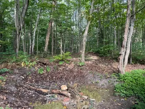 lot4 S Perch Lake Dr, Gaylord, MI 49735