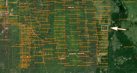 V/L S10AC Barberry Drive #SOUTH 10 ACRES, Wolverine, MI 49799 photo 5