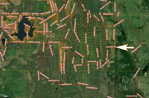 V/L S10AC Barberry Drive #SOUTH 10 ACRES, Wolverine, MI 49799 photo 4