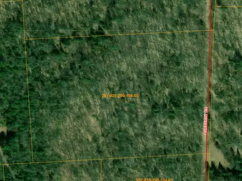V/L S10AC Barberry Drive #SOUTH 10 ACRES, Wolverine, MI 49799 photo 6