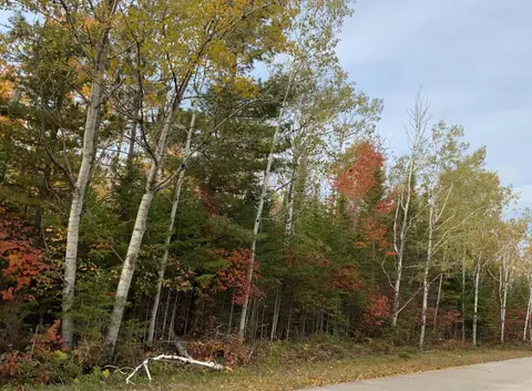 lot165 Wilderness Dr, Presque Isle, MI 49777